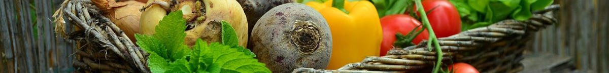 Gemüsevielfalt - natürliche Ernährung 