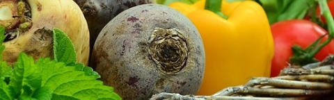 Gemüsevielfalt - natürliche Ernährung 