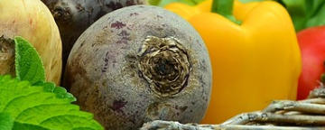 Gemüsevielfalt - natürliche Ernährung 