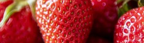 Erdbeeren - süsse Fülle und sommerliche Energie